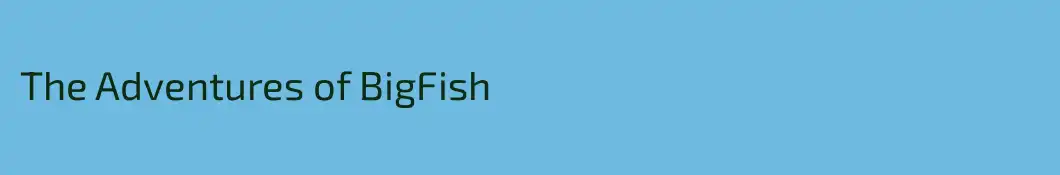 The Adventures of BigFish